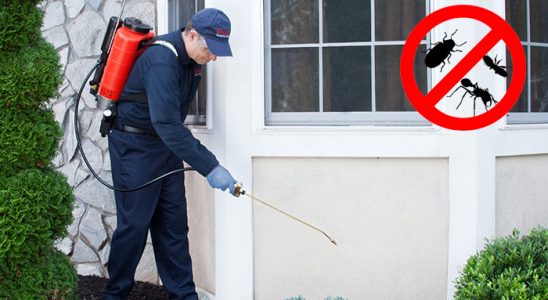 Ereğli Kene İlaçlama böcek ilaçlama ve haşere kontrolü — ilaclama-tr.com